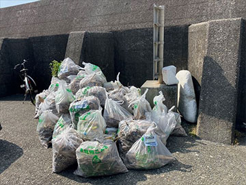 海岸清掃
